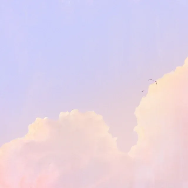 Endless Summer cover artwork