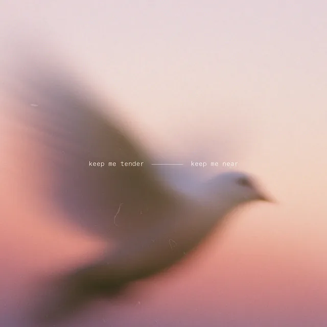 keep me tender, keep me near cover artwork
