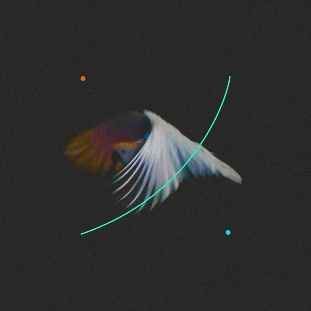 Search Me cover artwork